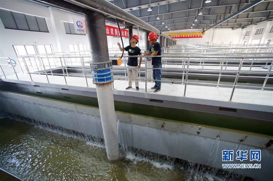 （環(huán)境）（4）福州洋里污水廠完成一二三期提標(biāo)改造通水試運行