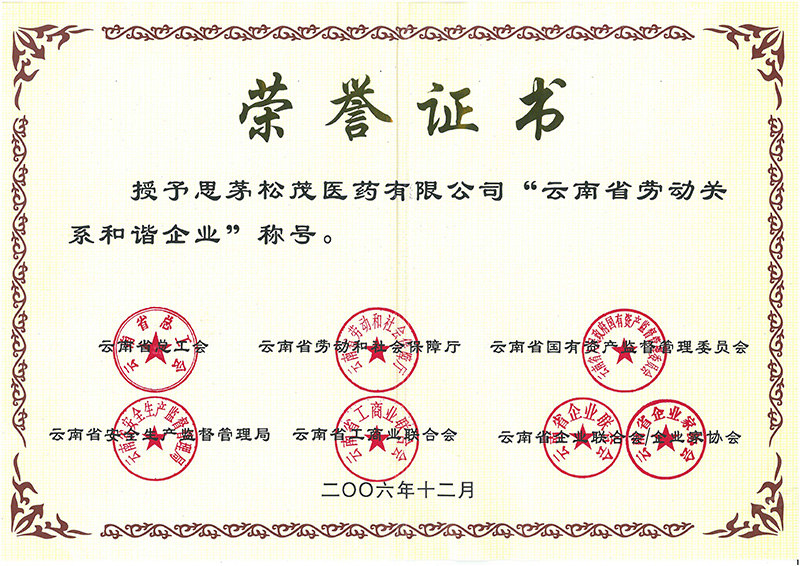 2006—云南省勞動(dòng)關(guān)系和諧企業(yè)